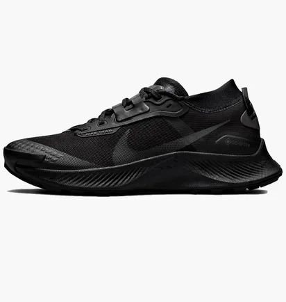 Кросівки жіночі Nike Pegasus Trail 3 Gtx Black DC8794-001