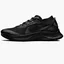 Кросівки жіночі Nike Pegasus Trail 3 Gtx Black DC8794-001