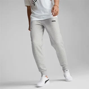 Штаны мужские Puma Essentials+ 2 Col Logo Grey 586767-04