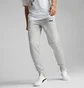 Штаны мужские Puma Essentials+ 2 Col Logo Grey 586767-04