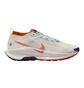 Кроссовки мужские Nike Pegasus Trail 5 Gore-Tex Beige FQ0908-003