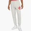 Штани чоловічі Nike M Nsw Sl Bb Pant Grey DM5467-050