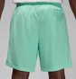 Шорты мужские Air Jordan Essentials Shorts Green FN4647-349