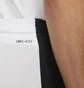 Шорты мужские Air Jordan Dri-Fit White/Black DH9077-100