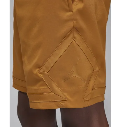 Шорты мужские Air Jordan Dri-Fit Sport Orange DZ0557-754