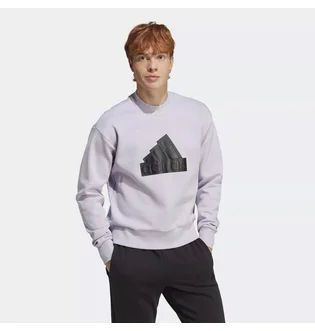 Світшот чоловічий Adidas Future Icons Badge Of Sport Grey IC3743