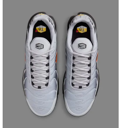 Кросівки чоловічі Nike Air Max Plus Wolf Grey DM0032-011
