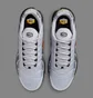 Кросівки чоловічі Nike Air Max Plus Wolf Grey DM0032-011