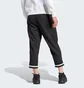 Штаны мужские Adidas Scribble Black IJ6444