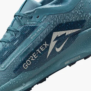 Кроссовки мужские Nike Pegasus Trail 5 Gtx Blue FQ0908-005