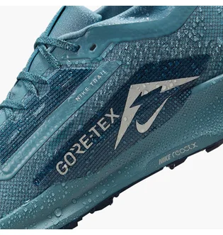 Кроссовки мужские Nike Pegasus Trail 5 Gtx Blue FQ0908-005