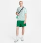 Футболка мужская Nike Club Stripe Tee White DZ2985-094