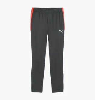 Штани чоловічі Puma Individualliga Grey 659517-10