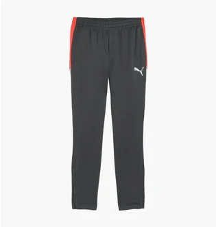 Штаны мужские Puma Individualliga Grey 659517-10