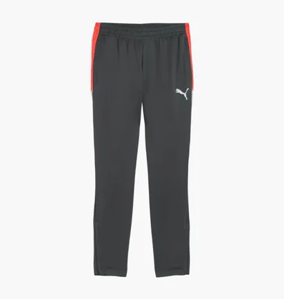 Штаны мужские Puma Individualliga Grey 659517-10