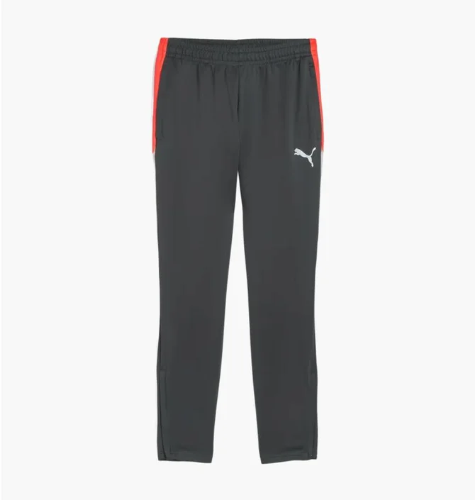 Штаны мужские Puma Individualliga Grey 659517-10