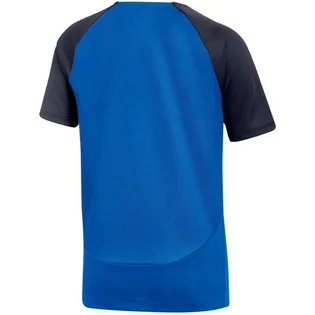 Футболка детская Nike Df Acdpr Ss Top Blue DH9277-463