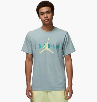 Футболка мужская Air Jordan Wordmark Light Blue CK4212-392