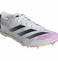 Кроссовки унисекс Adidas Adizero Xcs Cross Country Spikes Grey IG8252