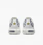 Кроссовки женские Nike Air Max Plus Shoes White DZ3671-104