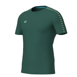 Футболка мужская Arena Team Green 002701-661