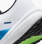 Кроссовки мужские Nike Winflo 10 Road Running Shoes White DV4022-103