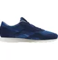 Кросівки чоловічі Reebok Classic Nylon Blue AR0896