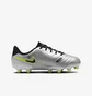 Бутси дитячі Nike Tiempo Legend 10 Academy Fg/Mg Metallic DV4348-001
