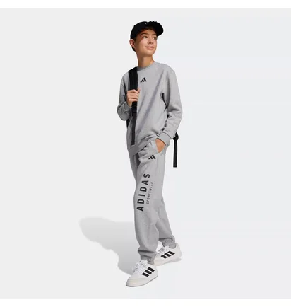Штаны детские Adidas J All Season Gfx Grey JC7640
