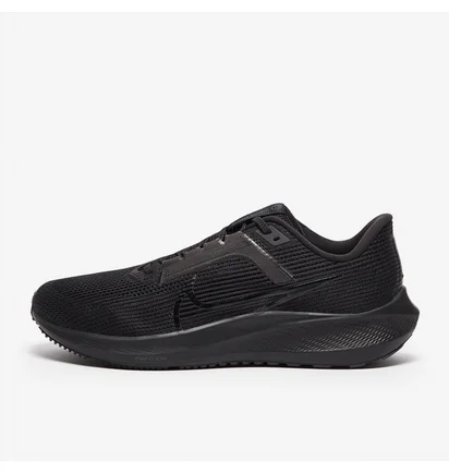 Кросівки чоловічі Nike Pegasus 40 Black DV3853-002