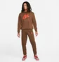 Штани чоловічі Nike Air Bb Jggr Brown DM5209-259