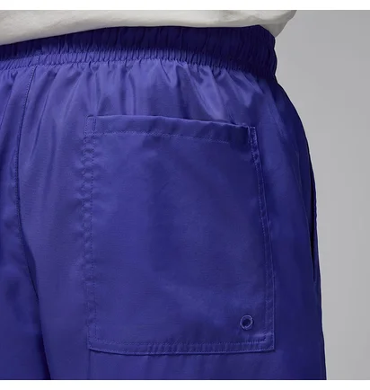 Шорты мужские Air Jordan Poolside Violet HF9371-543