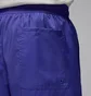 Шорты мужские Air Jordan Poolside Violet HF9371-543