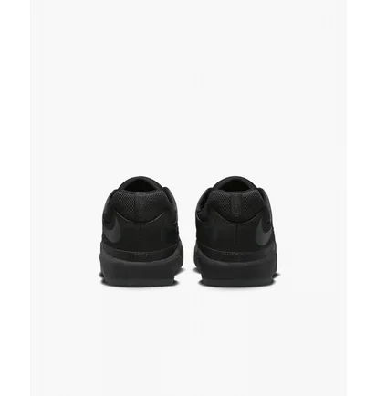 Кросівки чоловічі Nike Sb Ishod Wair Premium Black Dz5648-001