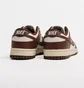 Кросівки жіночі Nike Dunk Low Wmns White/Brown DD1503-124