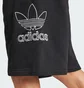 Шорти чоловічі Adidas Adicolor Outline Trefoil Black JP2684