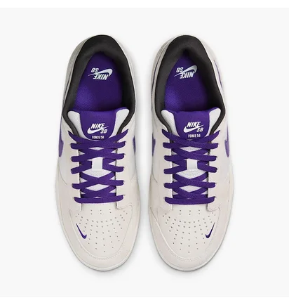 Кроссовки мужские Nike Sb Force 58 Beige DV5477-006