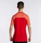 Футболка мужская Joma Winner Ii Orange 101878.090