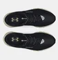 Кроссовки мужские Under Armour Summit Trek Black 3028345-003
