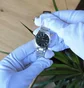 Часы женские Casio Analogue LTP-1183A-1AEF