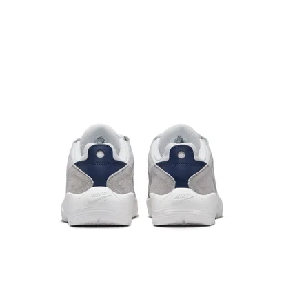 Кросівки чоловічі Nike Vertebrae Sb Grey FD4691-002