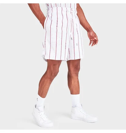 Шорты мужские Air Jordan Essentials Printed Basketball Shorts White Dm1357-100