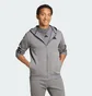 Толстовка чоловіча Adidas Future Icons 3-Stripes Grey IW8529