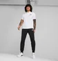 Спортивный костюм мужской Puma Essentials Logo Sweatpants & Hoodie Black 847228-01__586716-01