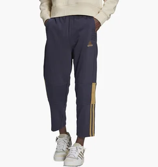 Штаны мужские Adidas Pants Sportswear Tiro 7/8 Pnt Aw Blue H56628
