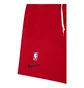 Шорты мужские Nike Nba Toronto Raptors Courtside 75 Red DD3269-657