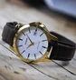 Часы мужские Casio Timeless Collection MTP-V004GL-7A