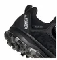Кроссовки детские Adidas Terrex Agravic Boa Black EH2685