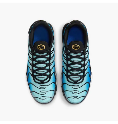 Кроссовки детские Nike Air Max Plus Blue CD0609-032