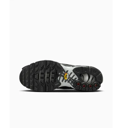 Кросівки жіночі Nike Air Max Plus Black Anthracite Black FV1169-001